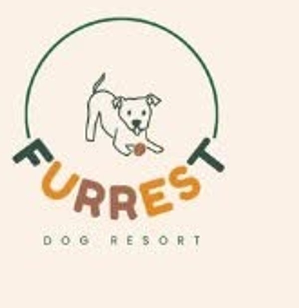 Furrest Dog Resort