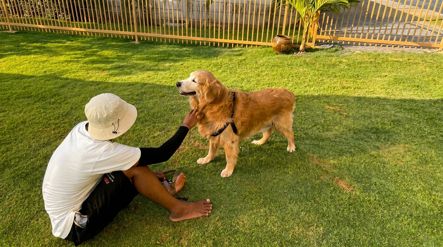 A Furrest team member sitting with a golden retriever on the lawn